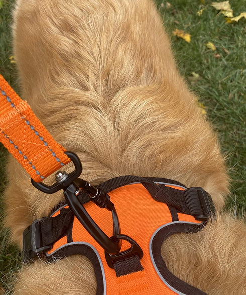 Nylon Dog Leash with Locking Carabiner for Large Medium Small Breeds – Heavy Duty Reflective Nylon Lead with Padded Handle for Everyday Walking, R...