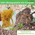 Natural Loofah Kitchen Sponge (3 Pcs) No Scratch Scrubber for Dishwashing, 100% Plant Fibers Vegetable Scrubber, Zero Waste and Eco Friendly Loofa...