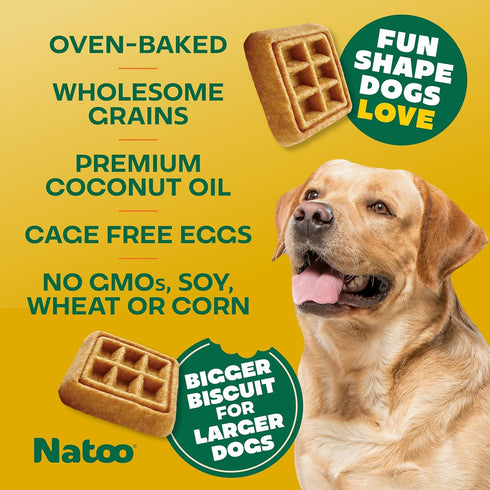 NATOO Dog Treats for Large Breed, Crunchy Biscuits Oats Banana and Honey, Natural Dog Treats, Rich in Omega 6, Prebiotics and Fiber, Antioxidants ...