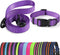 Mile High Life | Reflective Dog Collar Leash Set | Small Dog Collar Leash Set | Medium Dog Collar Leash Set | Adjustable Collar Leash Set (Reflect...