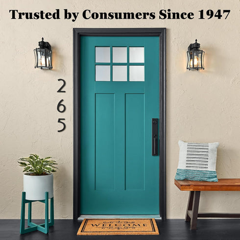 9 oz Krylon 21213 Black Now Enamel Spray Paint, Gloss...