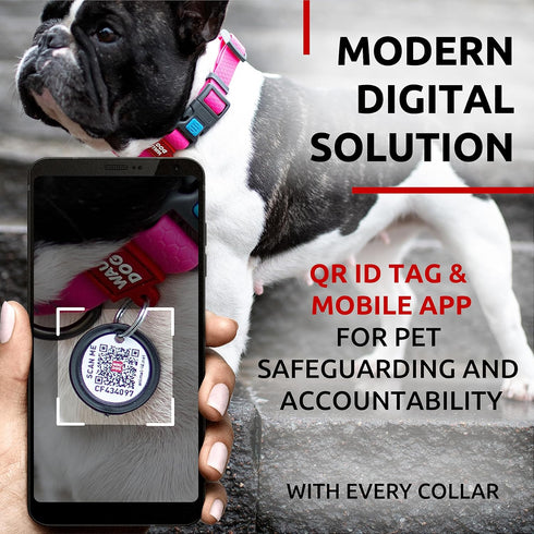 WAUDOG Waterproof Dog Collar - Adjustable Dog Collar for Large Dogs, Small and Medium Dogs - Breakaway Dog Collar Waterproof with Plastic Buckle a...