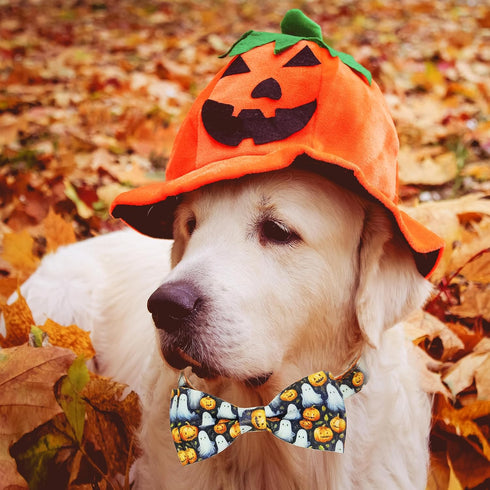 2023 NEW Halloween Holiday Collar for Boys and Girls Small Medium Large dog Pets Puppies Halloween Dog Collar with Bow Tie (Animal Print, Large-(1...