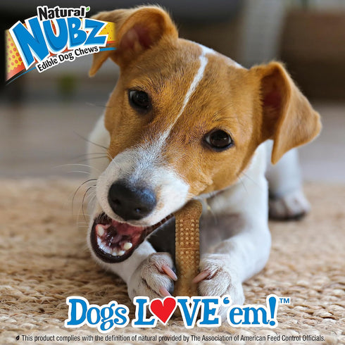 Nylabone Nubz WILD Natural Edible Chew Treats for Dogs, Made in USA, Bison Flavor, Small - Up to 25 lbs. (4 Count)...