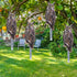 Owl to Keep Birds Away, 4Pack Bird Scarers Fake Owl Bird Reflective Devices to Keep Birds Away from Window Garden Farm...
