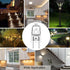 G8 Halogen Light Bulbs 2 pin - G8 Base 20 Watt Light Bulb 120V Dimmable Warm White 2700K - T4 JCD Type Under Cabinet Lighting Bi-Pin Puck Light Bu...
