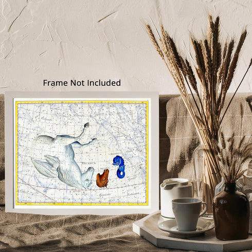 Posterizer 1 pcs-Johann Bode , Pegasus Equleus Delphinus-Celestial Map-Astrology & Zodiac Art-Astronomy & Celestial Art-Gift for Steampunk and Ast...