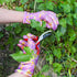 7Penn Garden Pruning Shears - 2pc Straight and Curved Sharp Blade Gardening Hand Tools with Red Ergonomic Grip Handles...