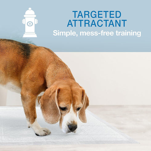 Four Paws Wee-Wee Super Absorbent Pee Pads for Dogs with Insta-Rise Border, Leak-Proof Floor Protection Dog & Puppy Quilted Potty Training Pads, U...