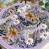 Myfelicity Embroidery kit, Adult Embroidery Material Set with Cute Flowers and Plants Patterns. 3 Embroidery Clothes and Colors Threads. 1 Hoop. (...
