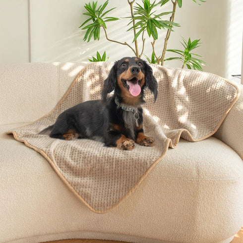 Waterproof Dog Blankets for Medium Dogs, Medium Cat Blanket Washable for Couch Protection, Fluffy Fleece Dog Blanket, Light Brown, M...