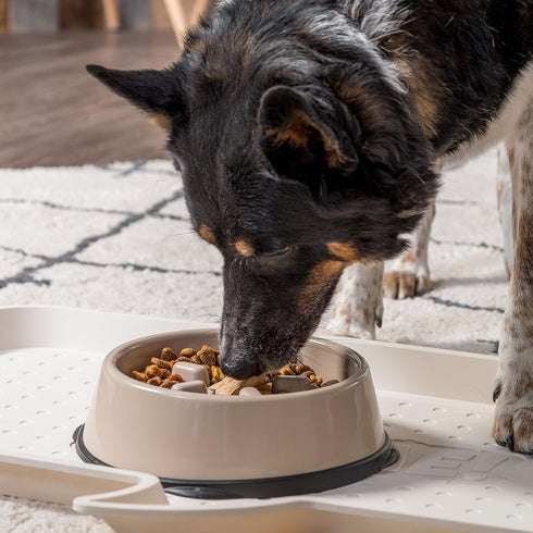 IRIS USA 4 Cups Slow Feeder Dog Bowl, Anti-Choking, Anti-Slip, Easy to Clean, Interactive Puzzle Toy, Healthy Digestion, Long snouted, Dogs Cats &...