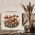 Posterizer 1 pcs- Brown mushrooms on a white background print-Floral Botanical Art-Kitchen & Bar Art- Gift for Men Women Entrepreneur Teens-Decor ...