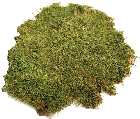 SuperMoss (21580) Sheet Moss Dried, Natural, 2 Ounce...