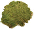 SuperMoss (21580) Sheet Moss Dried, Natural, 2 Ounce...