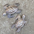 Sea Turtles, Beach Metal Art, Set of 2, Nautical Wall Hanging Figurines Home Decoration, Under the Sea Marine Life Animals, Handmade in Haiti 6 x ...
