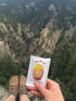 Justin's Honey Peanut Butter Squeeze Packs, Gluten-free, Non-GMO, Responsibly Sourced, Pack of 10 (1.15oz each)...