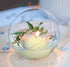 HYOOLA Premium Ivory Floating Candles 1.75 Inch - 3 Hour - 20 Pack - European Made...