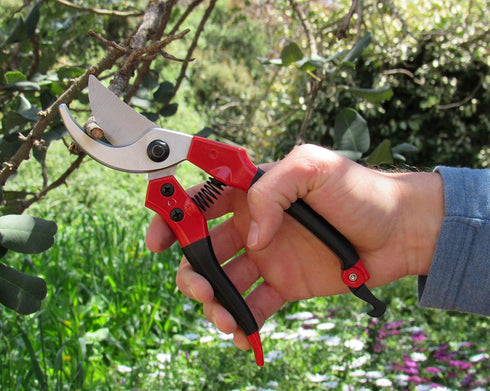 TABOR TOOLS S821A Bypass Pruning Shears, Makes Clean Cuts, Great for S-M Size Hands. Professional Sharp Secateurs, Hand Pruner, Garden Shears, Cli...