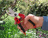 TABOR TOOLS S821A Bypass Pruning Shears, Makes Clean Cuts, Great for S-M Size Hands. Professional Sharp Secateurs, Hand Pruner, Garden Shears, Cli...