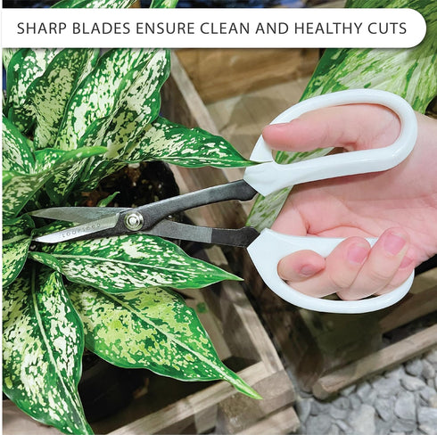 Precision Gardening Scissors Plant Trimming Pruning Shears Garden Pruners for Orchid Bonsai Hydroponic Garden Snip Flower Clipper Modern Garden To...