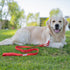 Shed Defender 5 ft. Standard Dog Leash - Three Padded Traffic Handles, Designed in The USA, Dual Layered Thickness Heavy Duty, Reflective Stitchin...