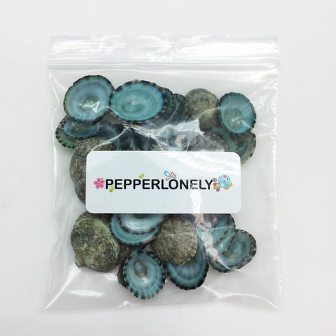PEPPERLONELY 50PC Green Limpet Shells Craft Sea Shells, 1/2 Inch ~ 1 Inch...