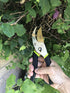 QY-731L Traditional Bypass Pruning 8.5" Titanium Blade- Handheld Gardening Tools Shears...