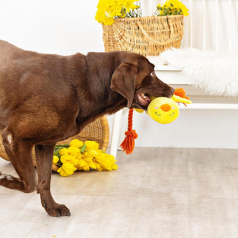Fringe Studio Plush Dog Toy, Sweet Little Chick, Pet Shop Collection (314137)...