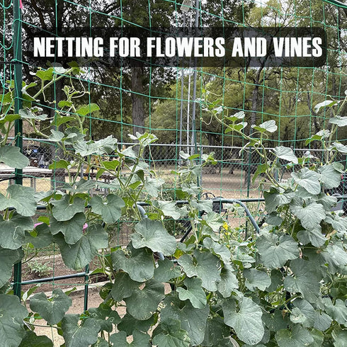 Trellis Netting, Heavy-Duty Garden Grow Netting for Climbing Plants, Outdoor Indoor Net for Cucumber, Tomatoes, Beans, Clematis, Fruits & Vegetabl...