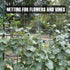 Trellis Netting, Heavy-Duty Garden Grow Netting for Climbing Plants, Outdoor Indoor Net for Cucumber, Tomatoes, Beans, Clematis, Fruits & Vegetabl...