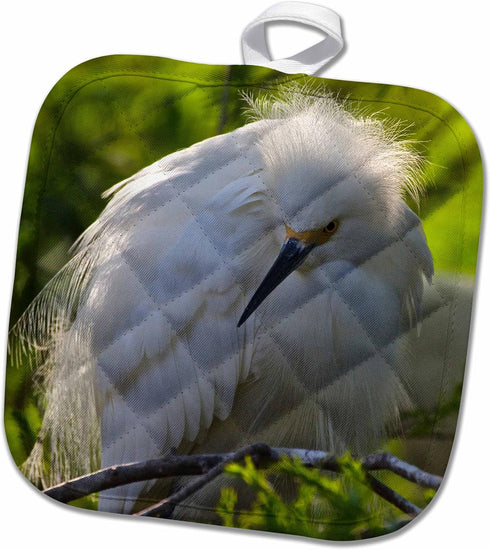 3D Rose USA-Florida-St Augustine Gator Farm Nesting Wading Birds. Pot Holder, 8 x 8...