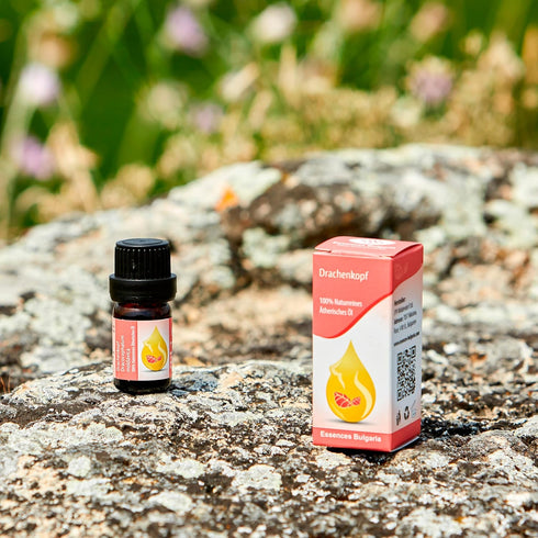 Essences Bulgaria Moldavian Dragonhead Essential Oil 1/3 Fl Oz | 10ml | Dracocephalum Moldavica | 100% Pure and Natural | Undiluted | Therapeutic ...