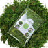 Usmola Fake Moss, Artificial Green Moss for Potted Plants Fairy Garden Accessories, 4OZ (Fresh Green)...