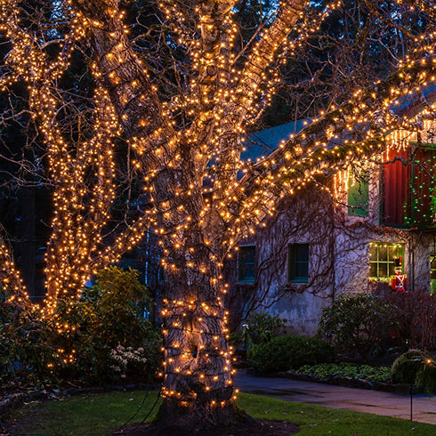 Christmas Lights 100 Count Mini Clear Lights 32ft White Wire Christmas Tree String Lights Set for Outdoor Indoor Christmas Decorations Wedding Dec...