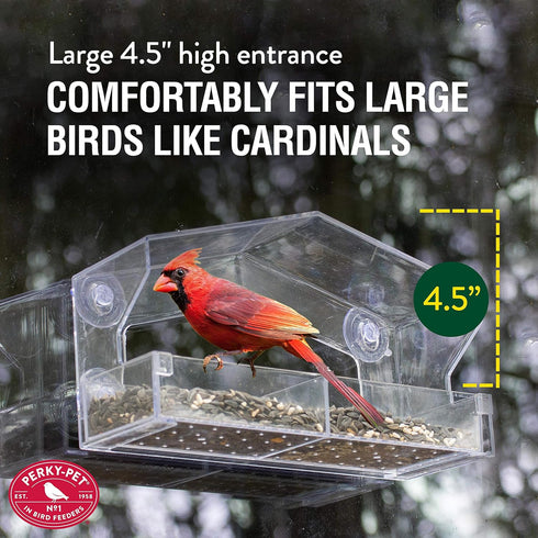 Perky-Pet 347 Clear Outdoor Window Bird Feeder with Strong Suction Cups – 1 Lb Seed Capacity...