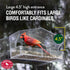 Perky-Pet 347 Clear Outdoor Window Bird Feeder with Strong Suction Cups – 1 Lb Seed Capacity...