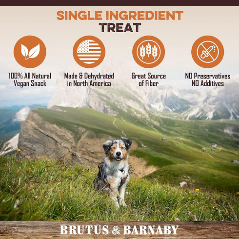 Sweet Potato Slices For Dogs - Single Ingredient Grain Free Dog Treats, Best High Anti-Oxidant Healthy 100% Natural Thick Cut Dried Sweet Potato D...