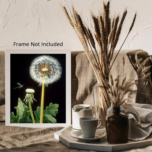 Posterizer 1 pcs-delicate dandelions in nature 4-Floral & Botanical Art-Landscape & Nature Art-Decor for Home & Office- unframed wall art...