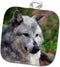 3D Rose Grey Wolf Posing Pot Holder, 8" x 8"...
