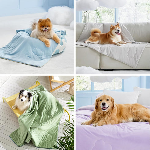 Lesure Premium Cooling Blankets for Small Dogs - Washable Small Dog Cooling Throw Blanket with Q-MAX>0.4?Durable Self Cooling Pet Mat for Cat, Sof...
