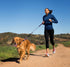 HALTI Active Leash - Award-Winning Bungee Dog Leash, Shock-Absorbing, All-in-One Neoprene Padded Belt & Lead, Perfect for Running & Training with ...