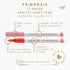 Primrosia 12 Amore Acrylic Paint Pens for rock painting, paper, wood, ceramic, stone, canvas – Extra Fine Tip Markers Set...