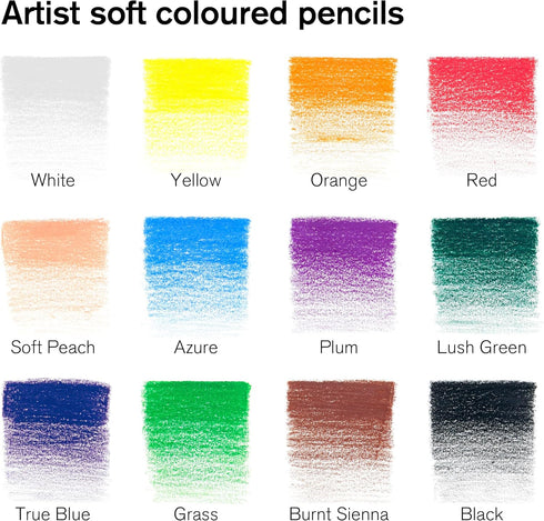 Winsor & Newton Studio Collection Artist Pencils, Color Pencils, Set of 12...