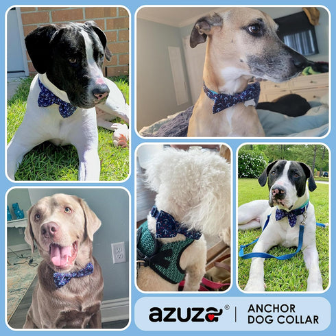 azuza Anchor Dog Collar with Bow Tie, Soft and Comfortable Bowtie Dog Collar, Adjustable Dog Collar for Medium Dogs...