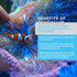 Continuum Aquatics Fraction - Concentrated Water Conditioner Instantly Removes Chlorine, Ammonia, and Chloramine in Marine Saltwater and Freshwate...