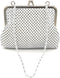 XXX-Small Women clutch metal mesh purse Hand strap carry for Party Cocktail Prom Wedding Banquet...