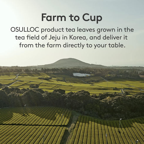 OSULLOC Matcha Powder (Unsweetened), Premium Organic (USDA) Pure Leaf Green Tea from Jeju, 1.41 oz, 40g...