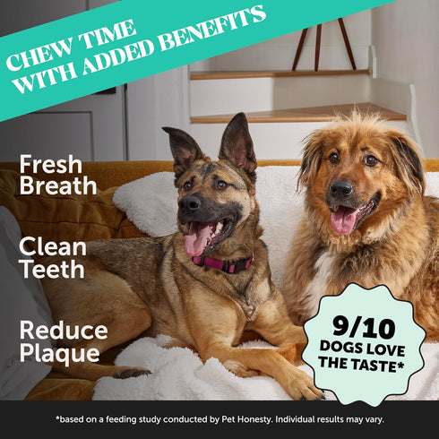 Pet Honesty Dental Health Fresh Sticks - Oral Hygiene Dental Sticks for Dogs - Dental Dog Chews - Freshen Dog Breath, Reduce Plaque + Tartar - 16 ...