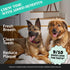 Pet Honesty Dental Health Fresh Sticks - Oral Hygiene Dental Sticks for Dogs - Dental Dog Chews - Freshen Dog Breath, Reduce Plaque + Tartar - 16 ...